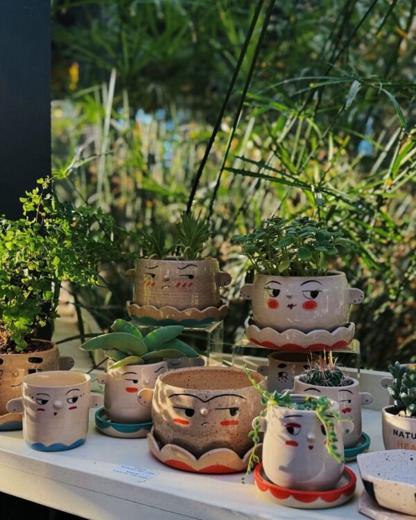 Matte Ceramic Planter with Drainage