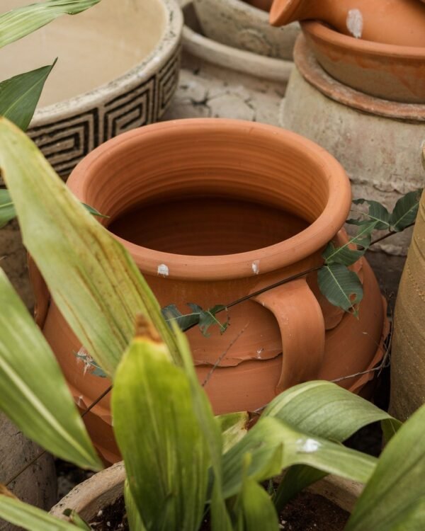 Classic Terracotta Pot Set of 3