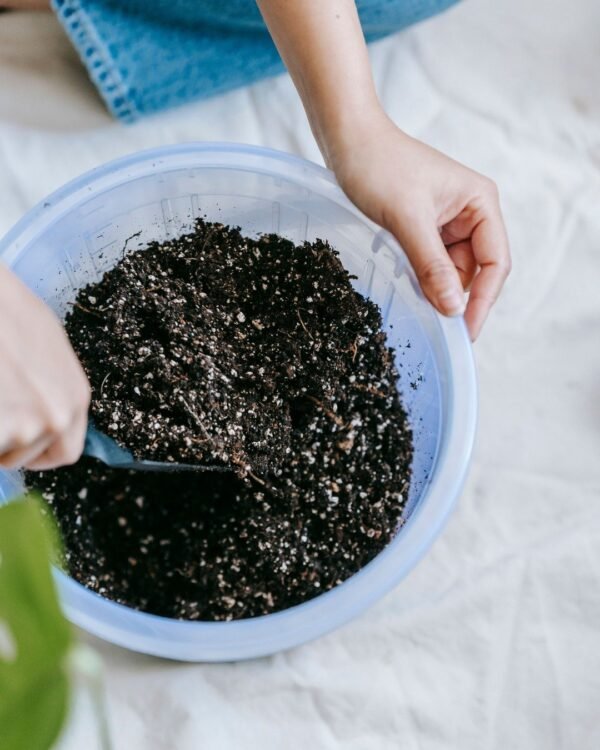 All-Purpose Potting Mix 5 kg